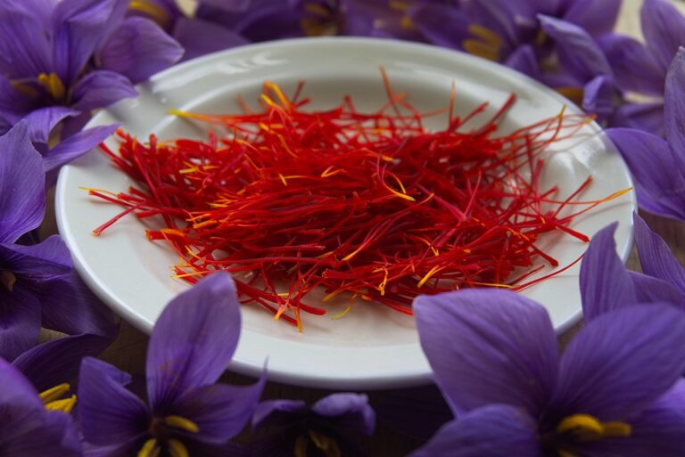 SAFFRON IS A HIGHLY PRIZED &amp; VALUE GLOBAL FOOD PLANT. OZ