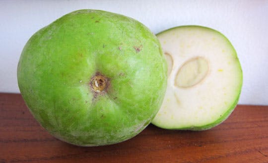 This image has an empty alt attribute; its file name is White_sapote_fruit-images-www.sunblestproducts-7.jpg