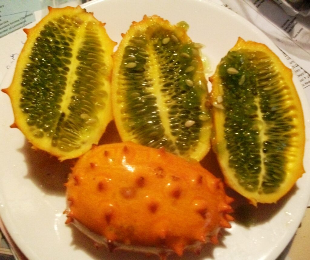 This image has an empty alt attribute; its file name is african-horned-cucumber-kiwano-rund-images-www.sunblestproducts-40-1024x858.jpg
