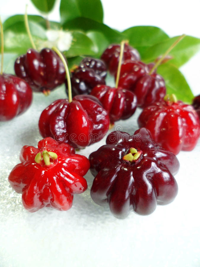 This image has an empty alt attribute; its file name is surinam-cherry-eugenia-uniflora-brazilian-cherry-images-www.sunblestproducts.com_.jpg