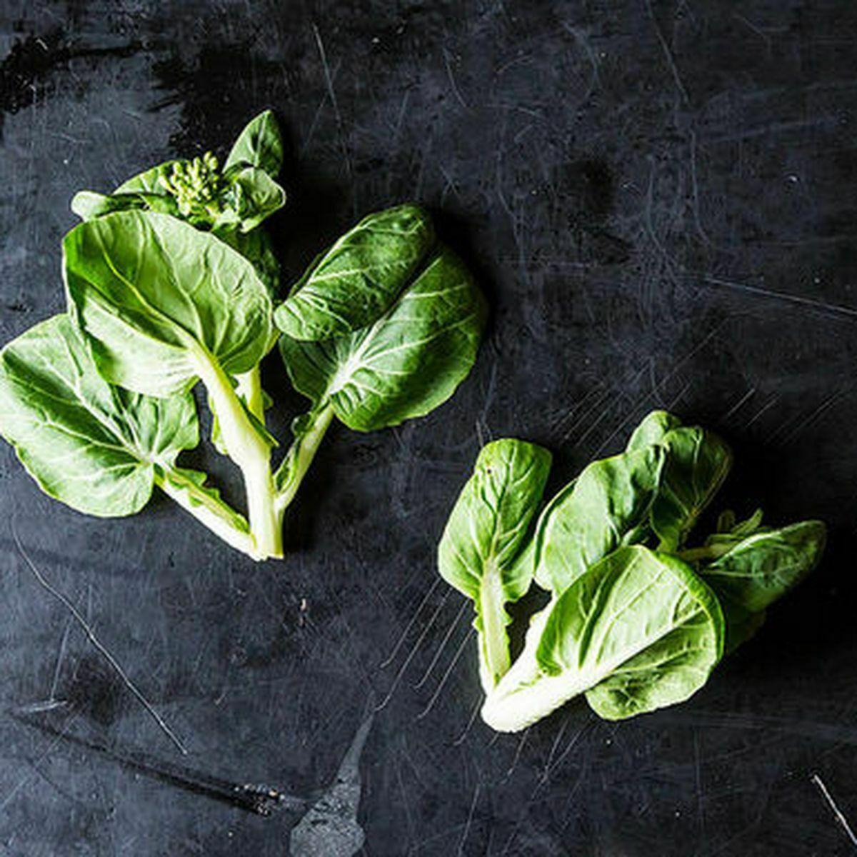 TATSOI Chinese Spinach SEEDS FOR SALE HERE ONLINE AUSTRALIA 4 Sunblest Products