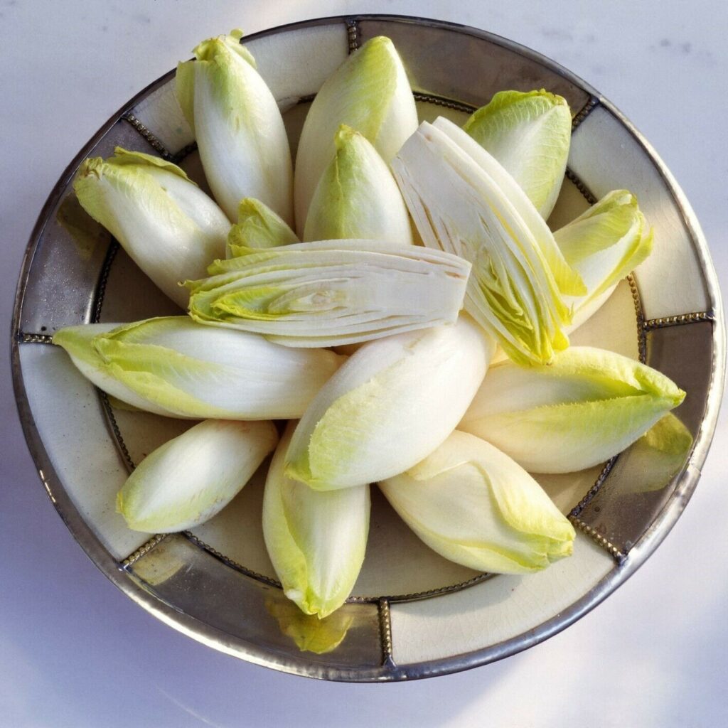 This image has an empty alt attribute; its file name is chicory-vegetable-images-www.sunblestproducts.com-7-1024x1024.jpg