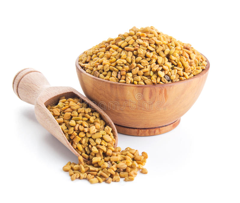 This image has an empty alt attribute; its file name is methi-leaves-fenugreek-seeds-plants-images-www.sunblestproducts.com-15.jpg