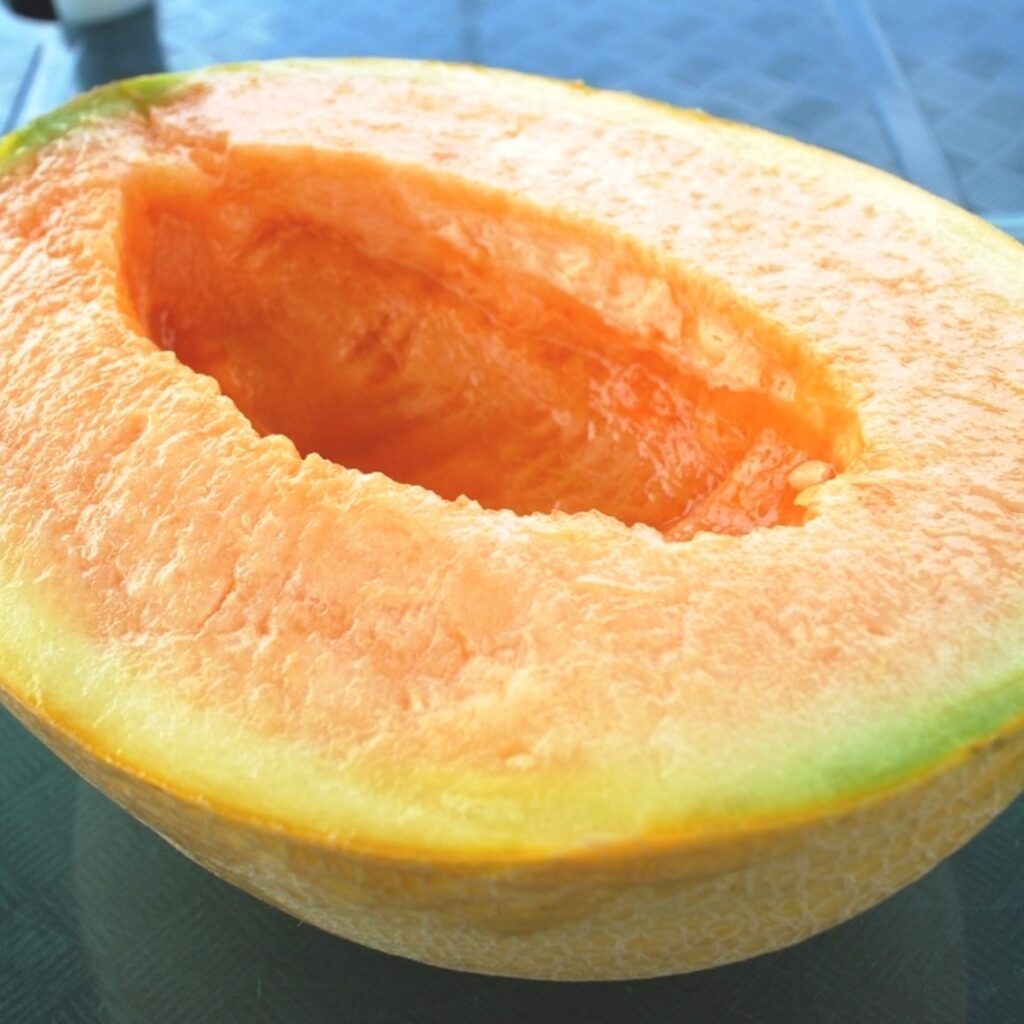 Yūbari King Melon The most expensive melon in the world is a status ...