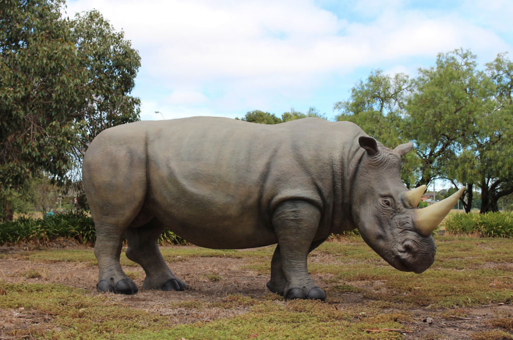 FIBREGLASS ANIMALS 4 SALE HERE OZRHINOS WATCH INFO VIDEOS Sunblest