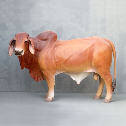 20 OF THE LARGEST BULLSCOWS IN THE WORLD. WATCH VIDEOS. Fibreglass