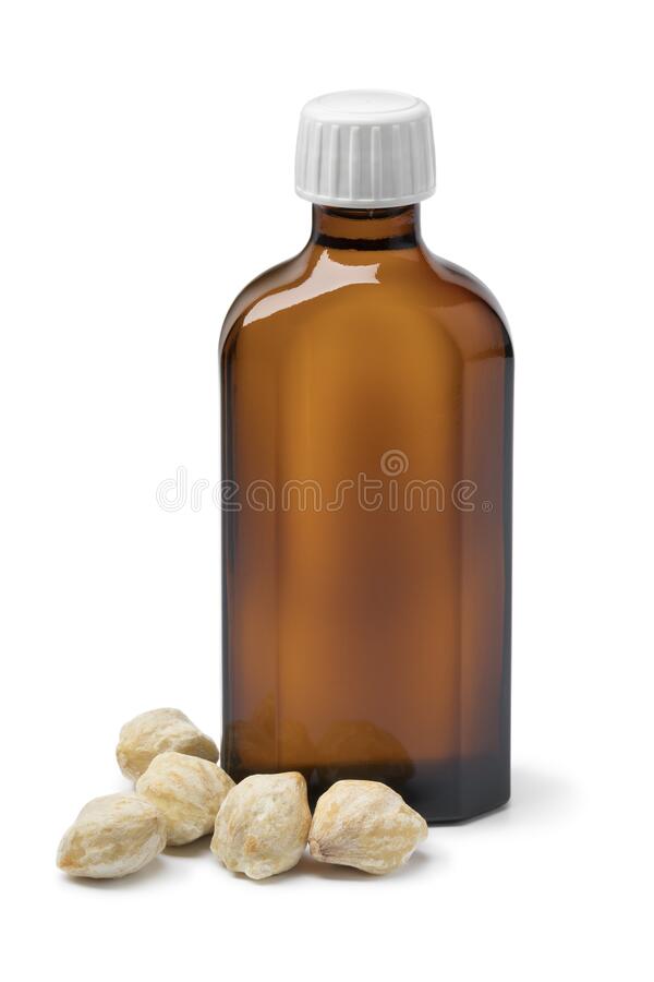 CANDLENUT TREES [ KUKUINUT ]4 SALE HERE QLD. OZ Neg. Watch How to